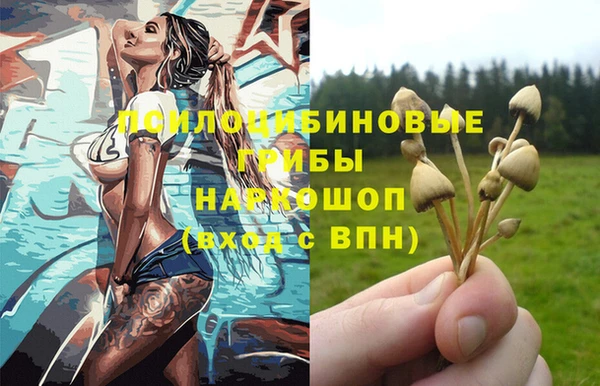 крисы Алексеевка